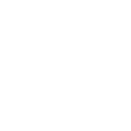 Nvidia Security