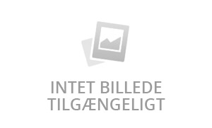 Nvidia RTX Graphics Cards